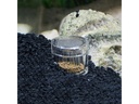 Hobby Aquaristik Zubehör Planaria X