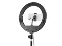 Hama Ringlicht SpotLight Steady 120 II