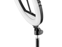 Hama Ringlicht SpotLight Steady 120 II