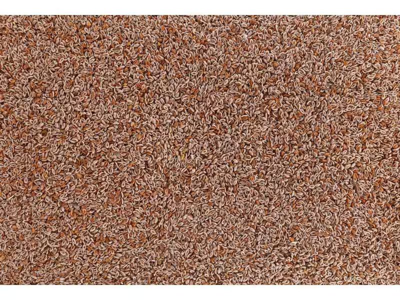 Vitana Hunde-Nahrungsergänzung Indische Flohsamen, 150 g