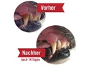 Leiky Zahnpflege Dentanol, 100 g