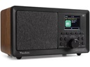 Audizio DAB+ Radio Padova Braun/Schwarz