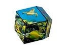 Shashibo Shashibo Cube Undersea
