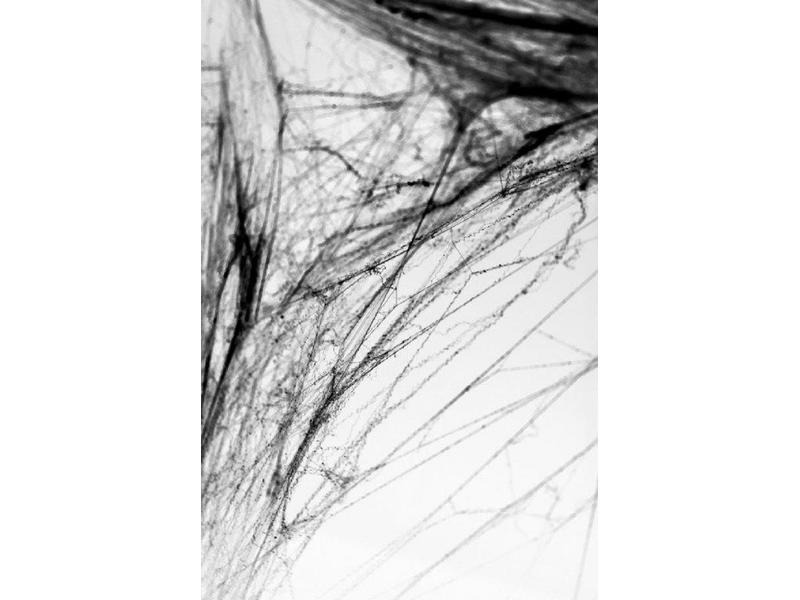 Partydeco Spinnengewebe Halloween 60g, Schwarz