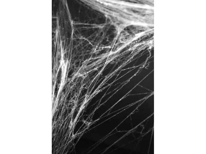 Partydeco Spinnengewebe Weiss, 60g
