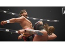 THQ AEW: Fight Forever