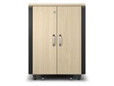 APC Netzwerkschrank NetShelter CX AR4017IA Soundproof 17HE