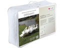 DOR Klassisches Kopfkissen mit 3 Kammern Organic 65 x 65 cm