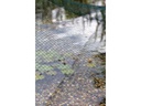 OASE Laubschutznetz 3 x 4 m