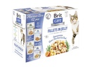 Brit Nassfutter Care Flavour box Fillets Gelée, 12 x 85 g