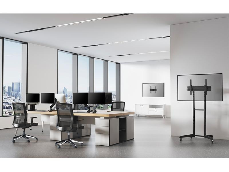 Neomounts by NewStar Wandhalterung FPMA-W300 Schwarz