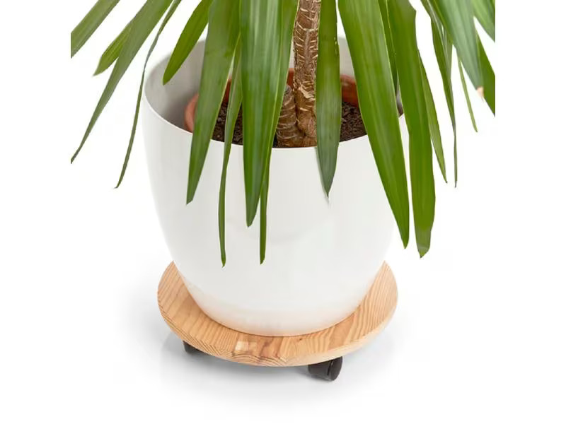Zeller Present Rolleruntersetzer Ø 35 cm, Nature