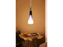 EGLO Leuchten Lampe 4 W E27 Schwarz-Transparent-Violett