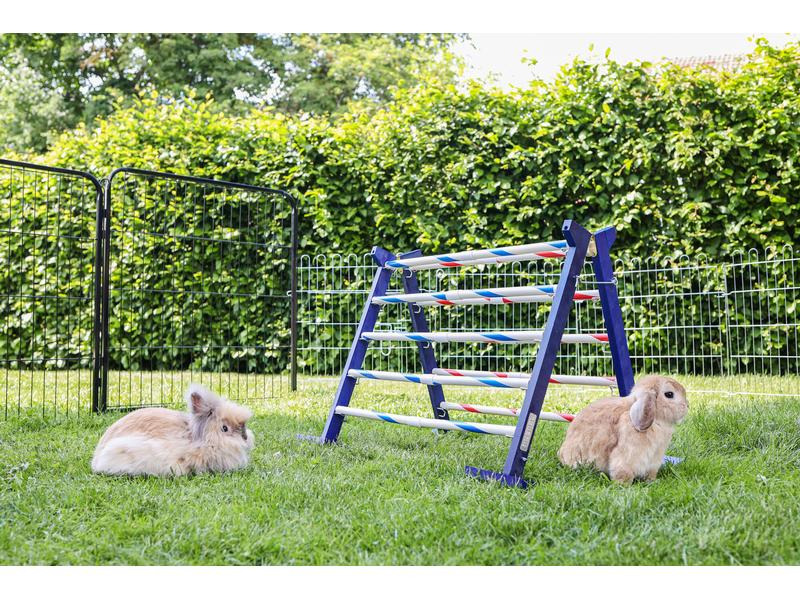 Kerbl Kombisprung Agility, 53 cm