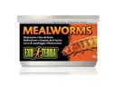 Exo Terra Dosenfutter Mealworms, 34 g