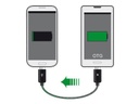 Delock USB-OTG-Kabel MicroB Powershare 0.3 m