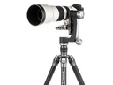 Benro Gimbal Kopf GH2N