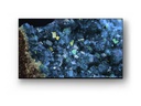 Sony Public Display FWD-83A80L 83, 3840 x 2160 (Ultra HD 4K)