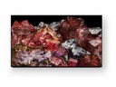 Sony Public Display FWD-65X95L 65, 3840 x 2160 (Ultra HD 4K)