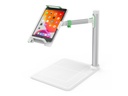 Belkin Halterung Tablet Stage 2.0