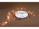 Dameco LED-Lichterkette mit roten Kügelchen, 72 Lampen, 1.8 m