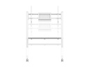 Neomounts by NewStar TV-Trolley FL50-525WH1 Weiss