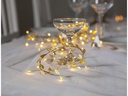 Star Trading LED-Lichterkette Winny, 2 m, 60 LEDs, Gold