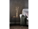 Star Trading Zweig Willow Dewdrop, 24 LEDs, 60 cm, Natur