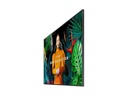 Samsung Public Display QM55C 55