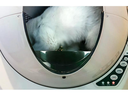 Litter-Robot Schutzwand zu Litter Robot 3 Connect