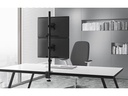 Neomounts by NewStar Tischhalterung FPMA-D550DV bis 6 kg – Schwarz
