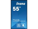 iiyama Monitor ProLite LH5560UHS-B1AG