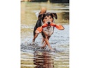 Hunter Hunde-Spielzeug Aqua Mindelo, Orange, 52 cm