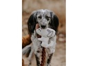 Hunter Hunde-Spielzeug Barry Hund 16 cm