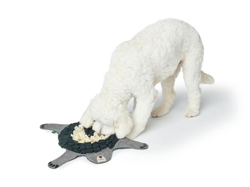Hunter Hunde-Spielzeug Billund Bär Schnüffelteppich, 75 x 75 cm