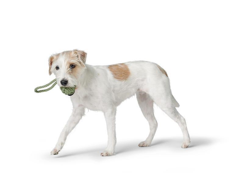 Hunter Hunde-Spielzeug Inari S, Ø 6 cm, Lindgrün