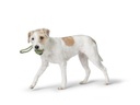 Hunter Hunde-Spielzeug Inari S, Ø 6 cm, Lindgrün