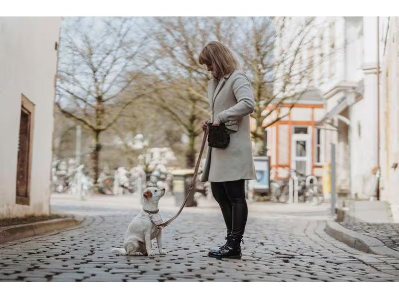 Hunter Verstellbare Führleine Inari, 20/200, Beige
