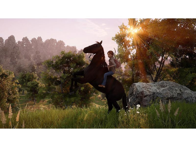 GAME Ostwind: Ein unerwartetes Abenteuer (Code in a Box)