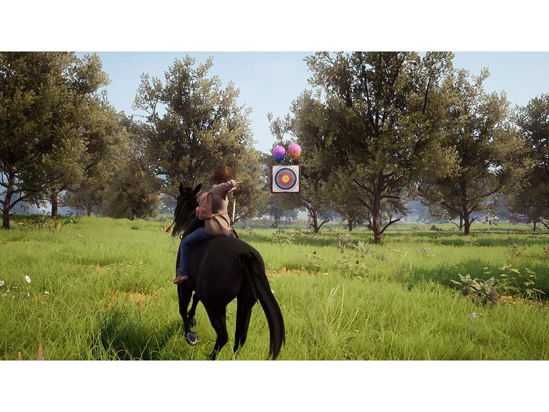 GAME Ostwind: Ein unerwartetes Abenteuer (Code in a Box)