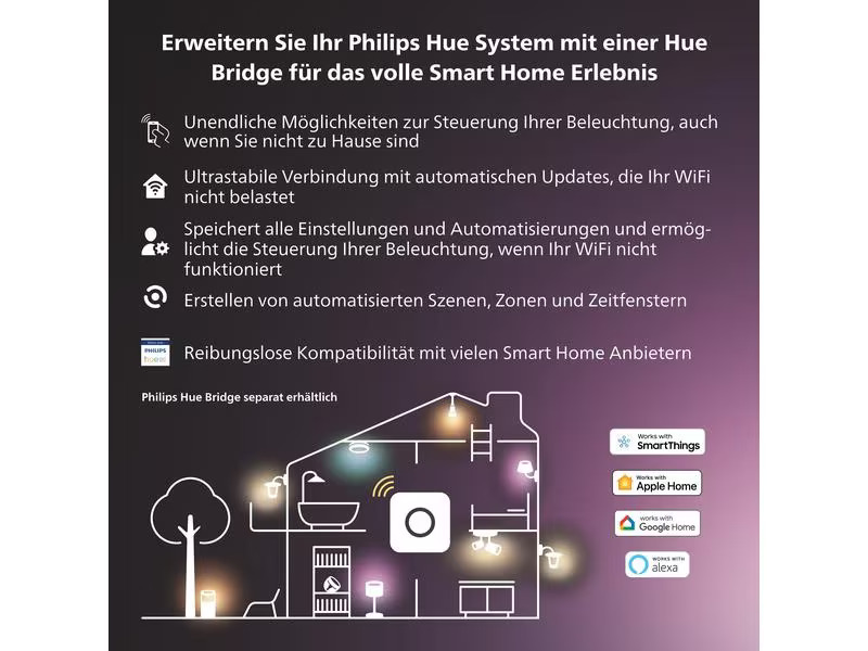 Philips Hue Secure Anti-Diebstahl Kabel