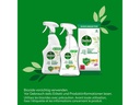 Dettol Allzweckreiniger Desinfektionsreiniger Birne 0.5 l