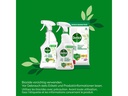 Dettol Allzweckreiniger Spray Grapefruit 0.5 l