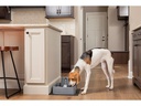 PetSafe Wasserautomat Drinkwell Trinkbrunnen PET, 3.7 l