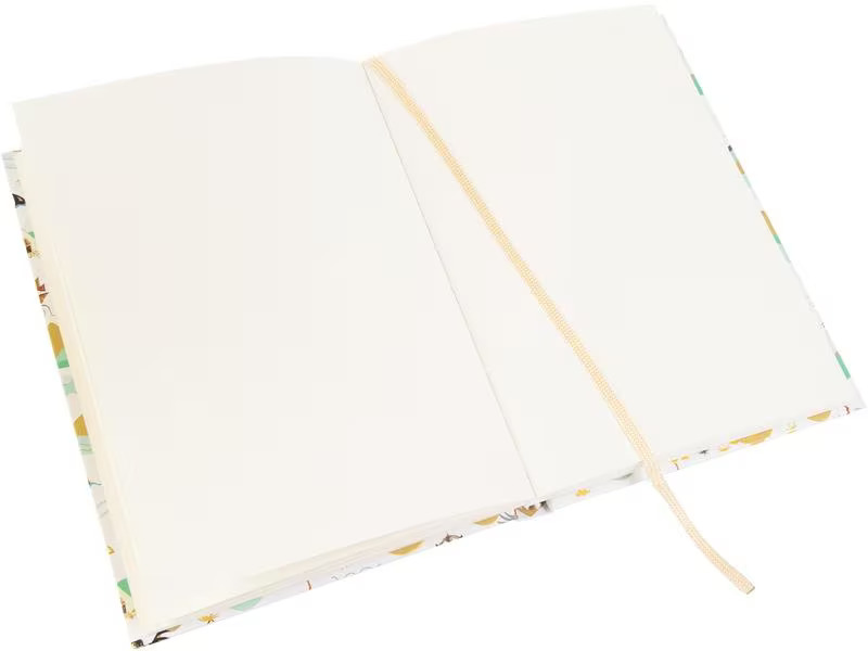Goldbuch Notizbuch Ahoi! A5, Blanko, Mehrfarbig