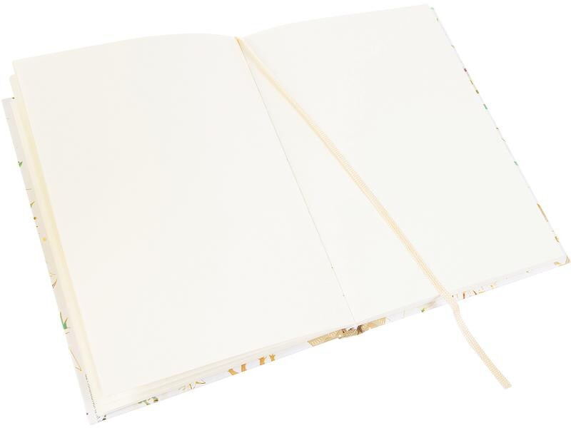 Goldbuch Notizbuch Dinosaurier A5, Blanko, Mehrfarbig