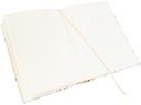 Goldbuch Notizbuch Dinosaurier A5, Blanko, Mehrfarbig