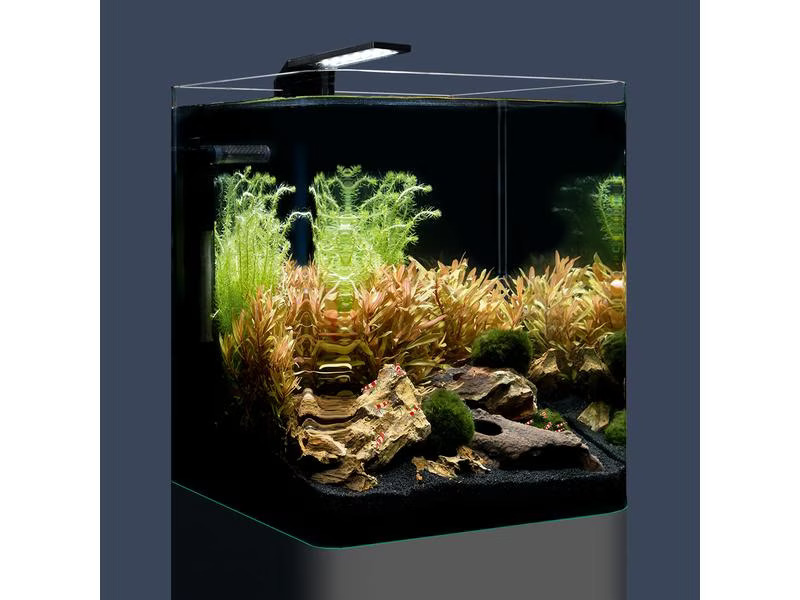 Dennerle Aquarium Nano Cube Basic, 20 l