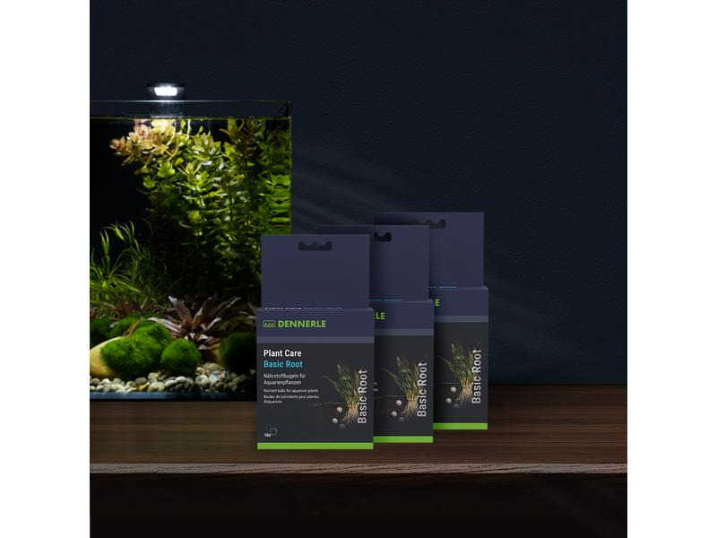 Dennerle Pflanzenpflege Plant Care Basic Root, 10 Stück