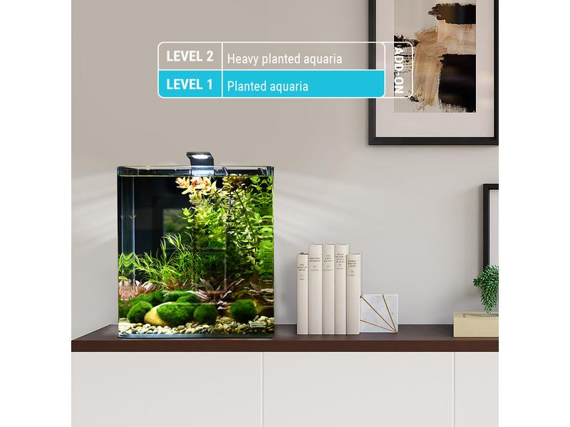 Dennerle Pflanzenpflege Plant Care Basic Root, 10 Stück